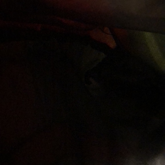 Betty Boop tote - Picture 5 of 7